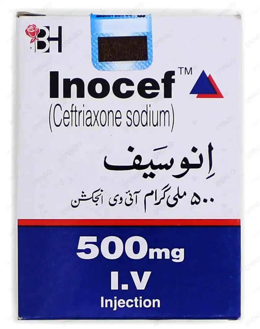 Inocef Injection 500mg I.v